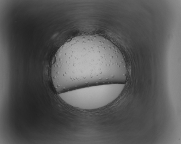 X0000101191059200806270843