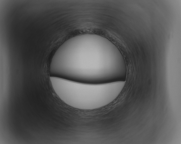 X0000101191060200806270842