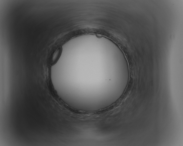 X0000101191061200806270842