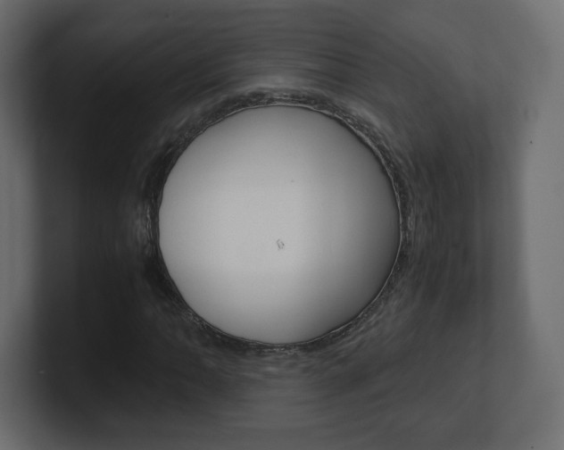 X0000101191062200806270842
