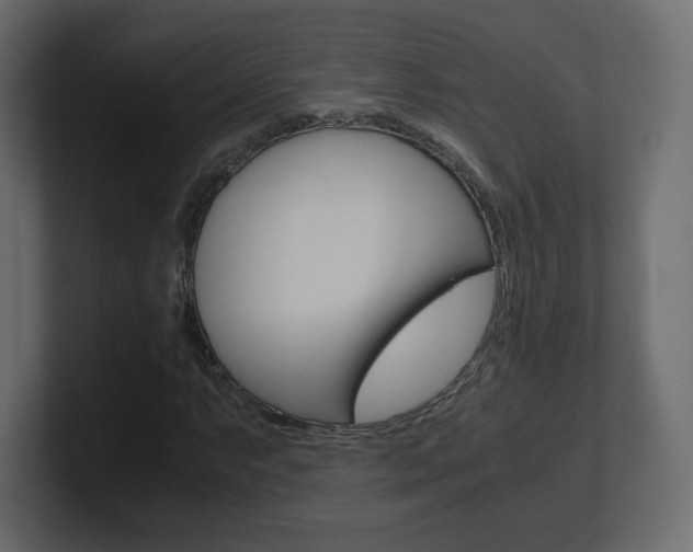 X0000101191063200806270842
