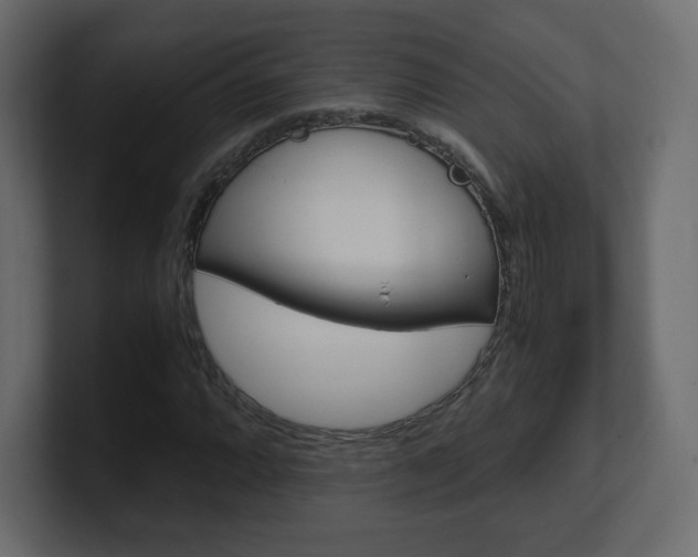 X0000101191064200806270842