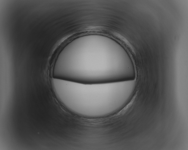 X0000101191066200806270842