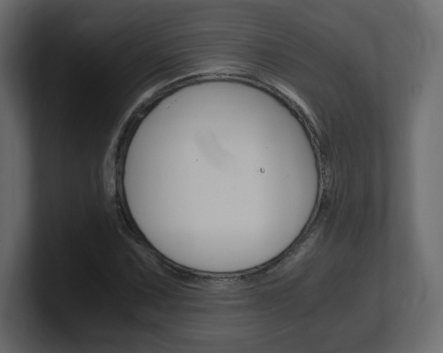 X0000101191067200806270842