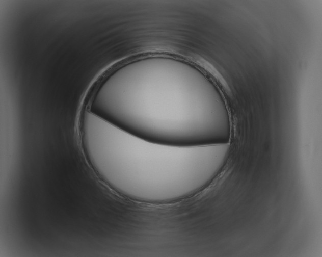 X0000101191068200806270842