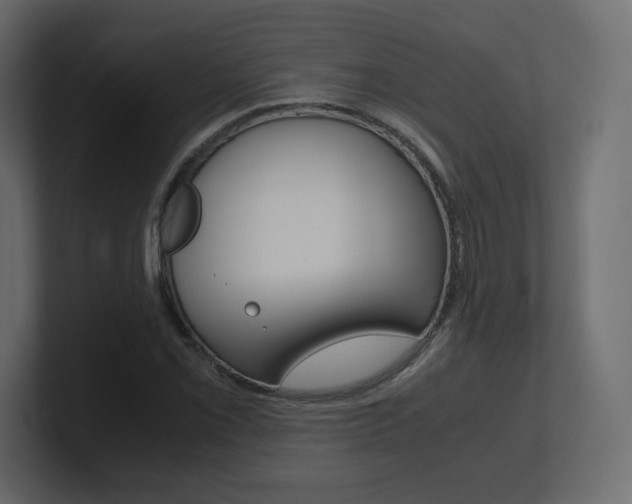 X0000101191069200806270842