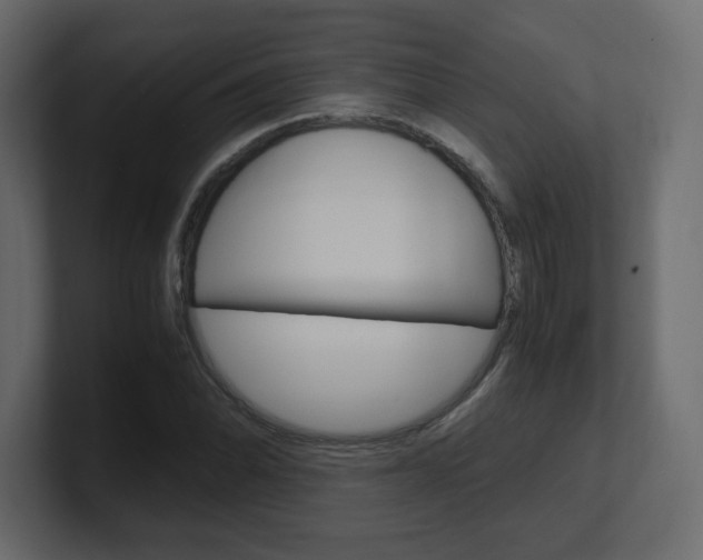 X0000101191070200806270842