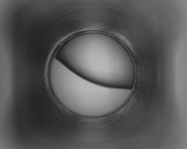 X0000101191072200806270842