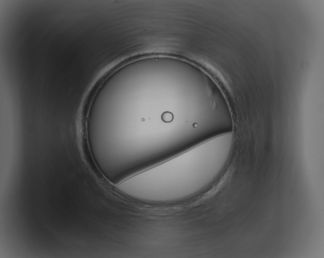 X0000101191077200806270842