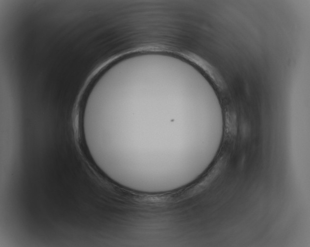 X0000101191078200806270842