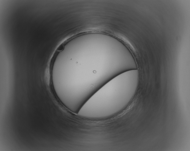 X0000101191079200806270842