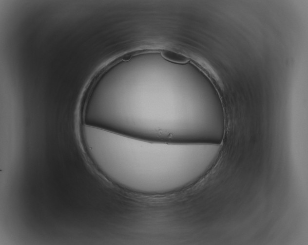 X0000101191080200806270842