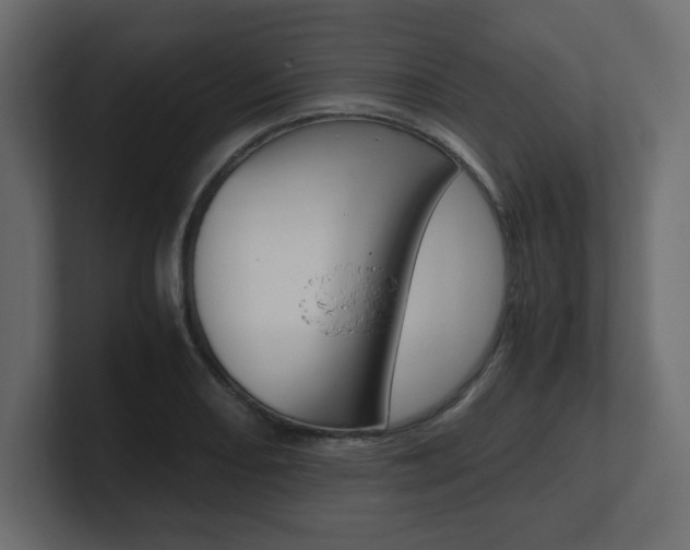 X0000101191082200806270842