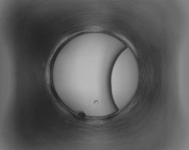 X0000101191083200806270842