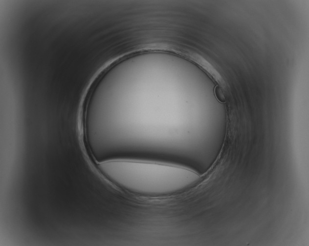 X0000101191084200806270842