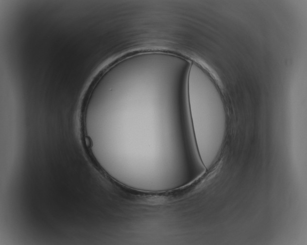 X0000101191085200806270842