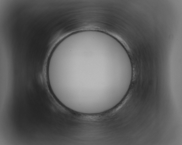 X0000101191086200806270842