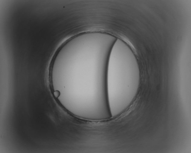 X0000101191087200806270842