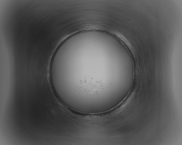 X0000101191089200806270842