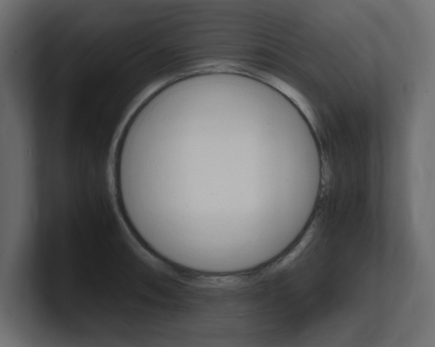 X0000101191090200806270842