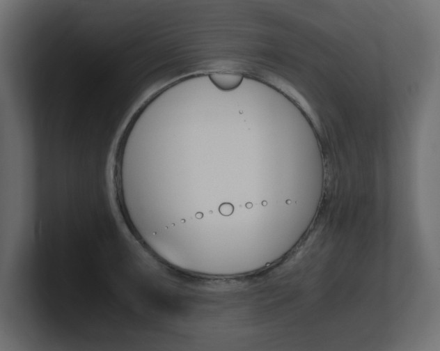 X0000101191091200806270842