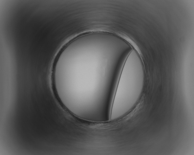 X0000101191093200806270842