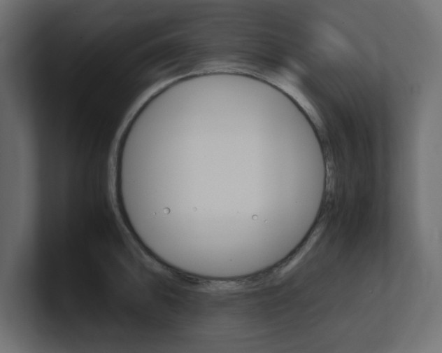 X0000101191094200806270842