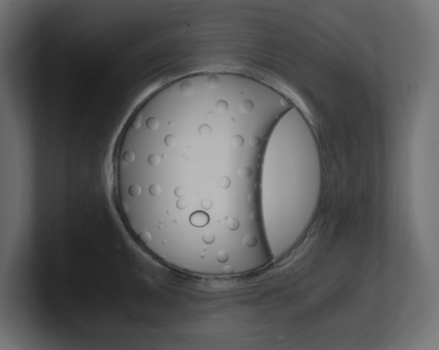 X0000101191095200806270842