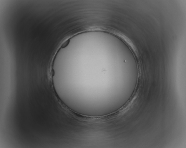 X0000101191097200806270842