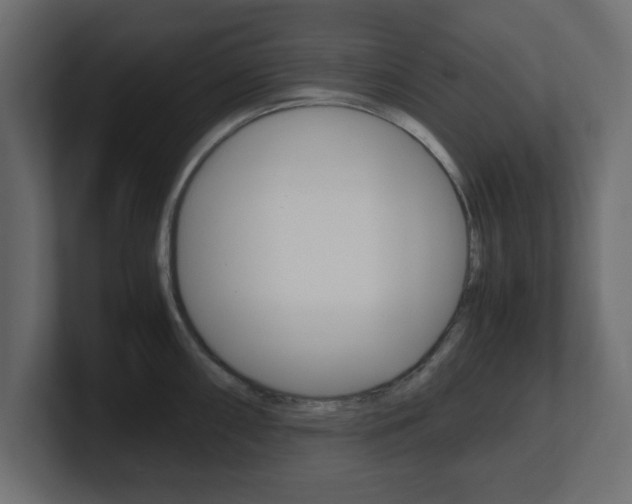 X0000101191098200806270842