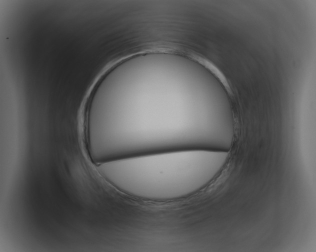 X0000101191099200806270842