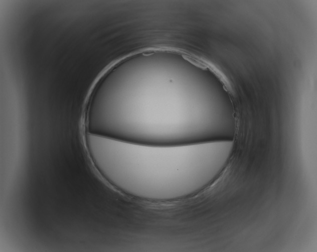 X0000101191100200806270842