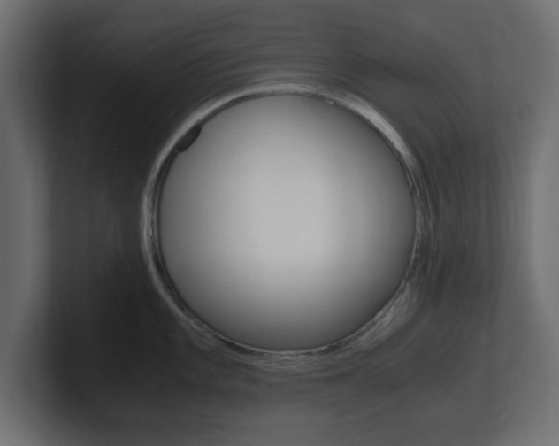 X0000101191101200806270842