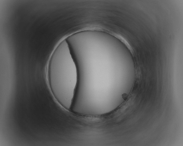 X0000101191103200806270842