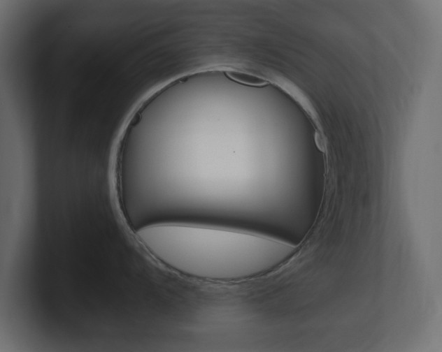 X0000101191104200806270842