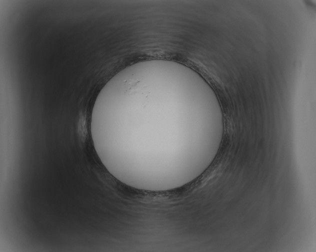 X0000101191106200806270841