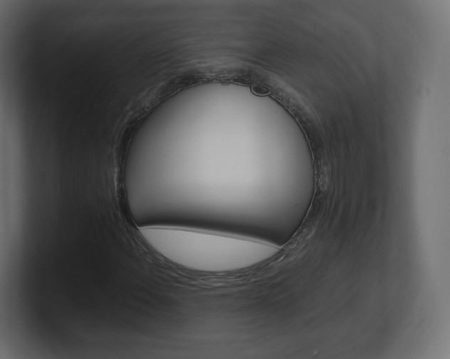 X0000101191108200806270841