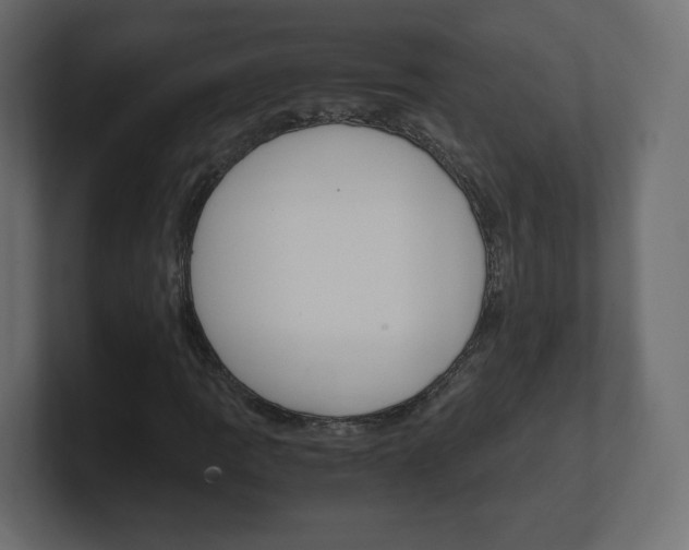 X0000101191109200806270841