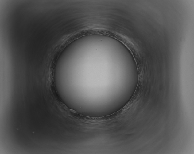 X0000101191110200806270841
