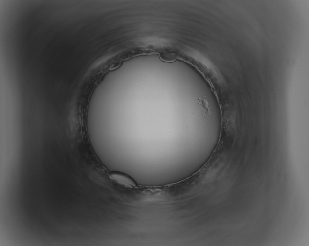 X0000101191112200806270841