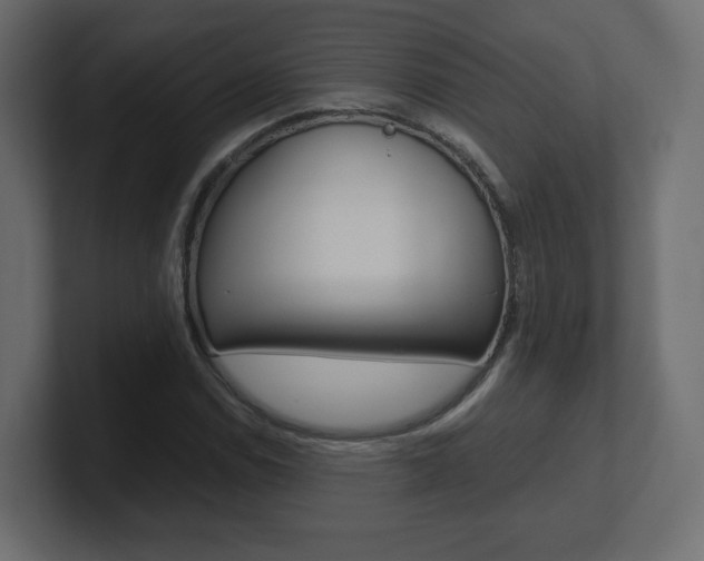 X0000101191114200806270841