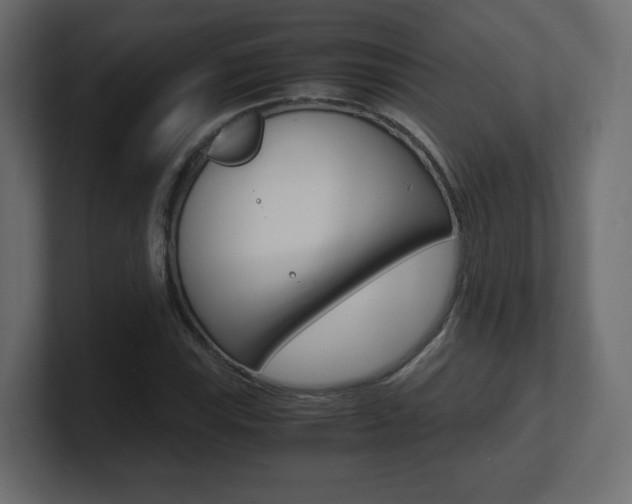 X0000101191115200806270841