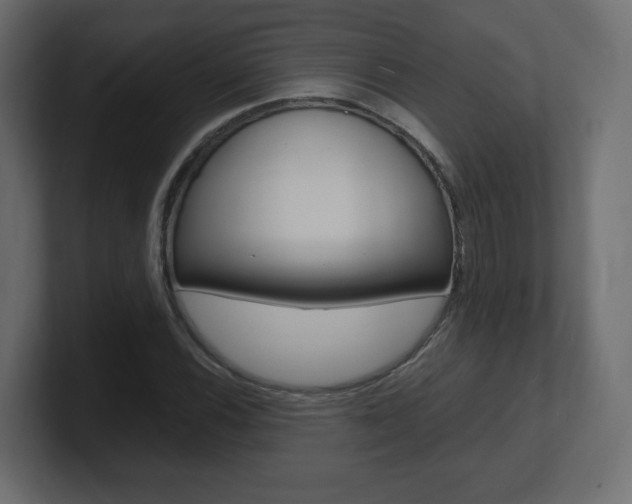 X0000101191116200806270841