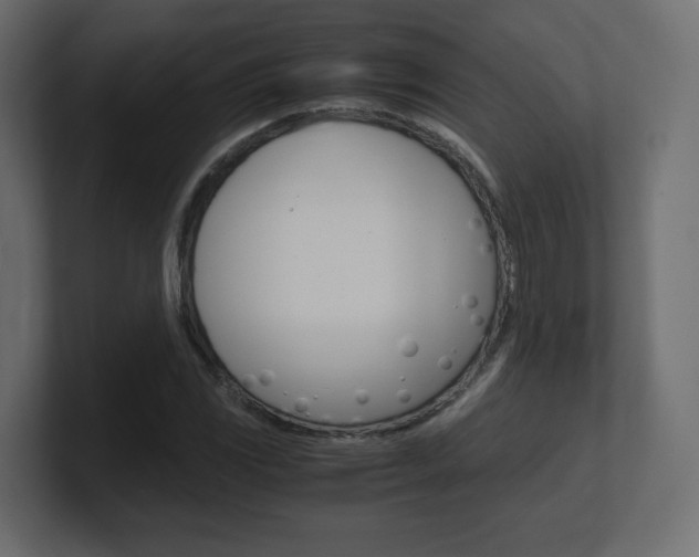 X0000101191117200806270841