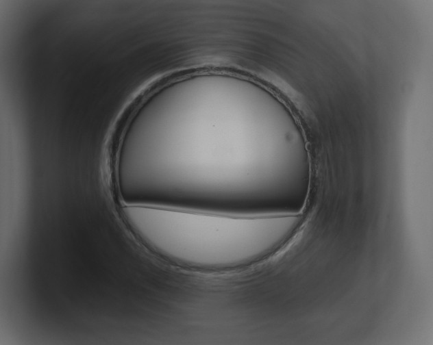 X0000101191118200806270841