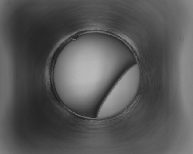 X0000101191120200806270841