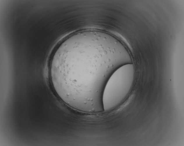 X0000101191125200806270842