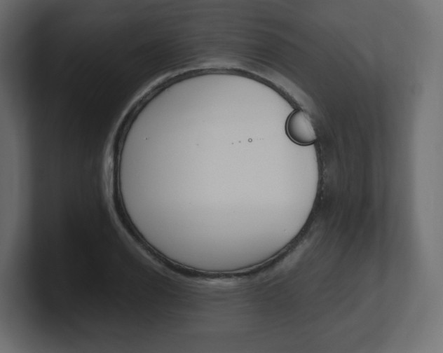 X0000101191126200806270842