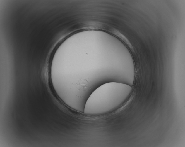 X0000101191130200806270842