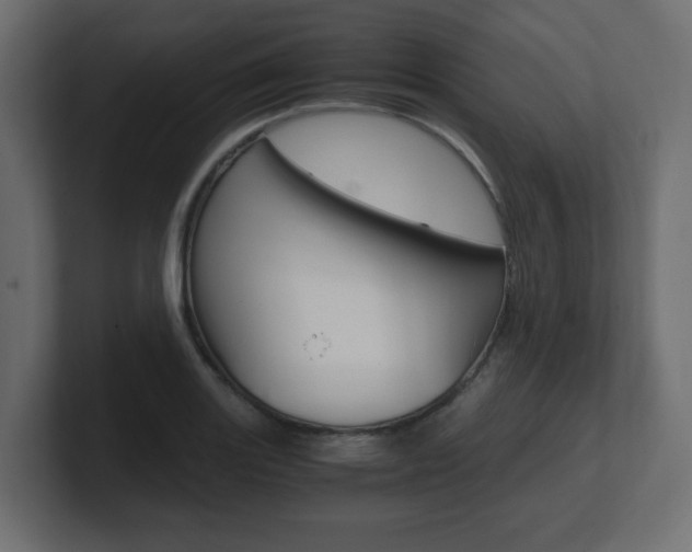X0000101191131200806270842